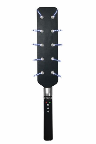 E-Stim Spiked Paddle