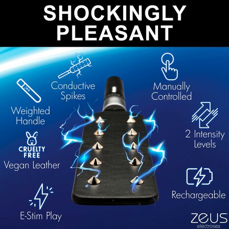 E-Stim Spiked Paddle