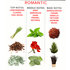 EOL Body Spray Romantic Man Tot Vrouw - 10 ml